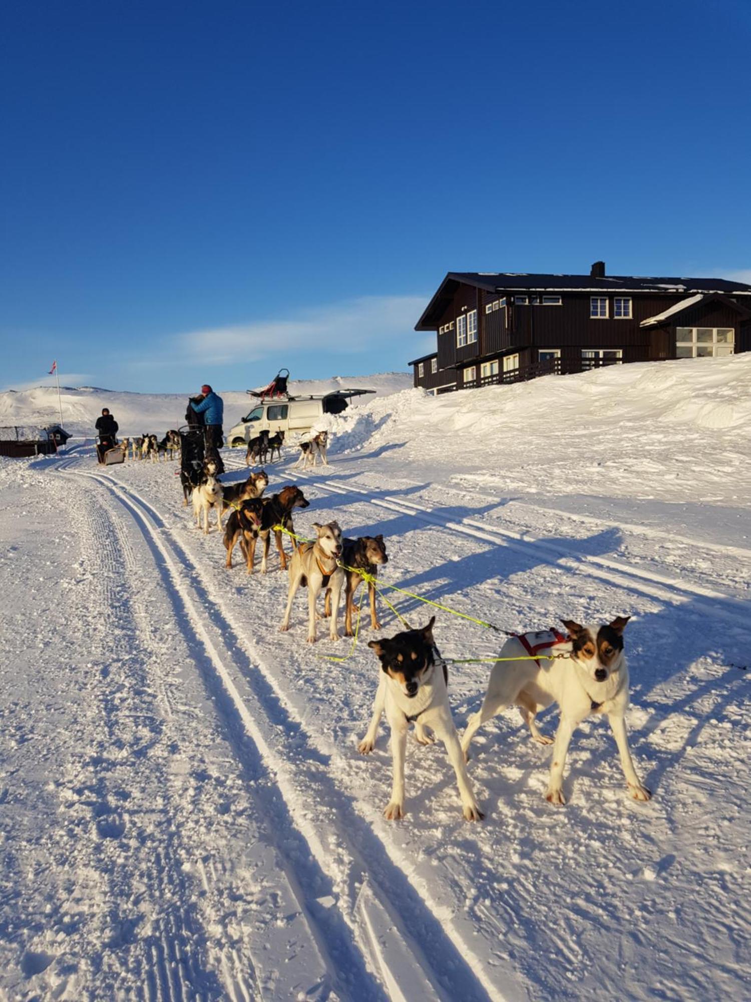 Hotel Bergsjostolen Fjellstue Exteriér fotografie